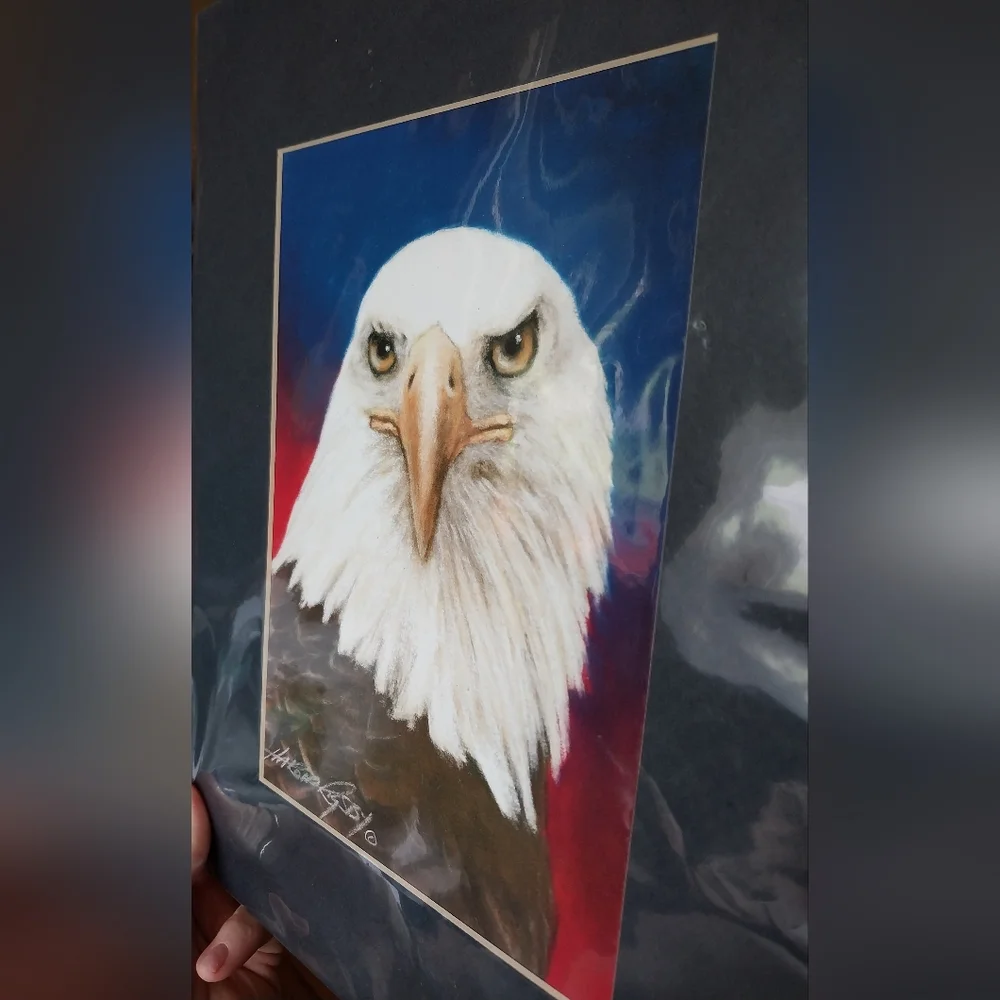 Bald Eagle print - Picture 8 of 15